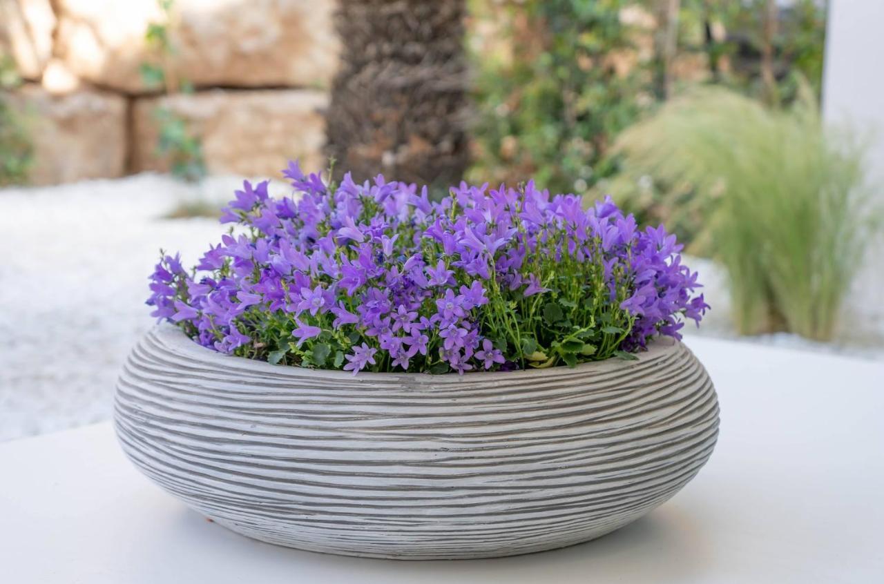 Casa Bodhi Boutique Hotel & Spa Marbella Luaran gambar