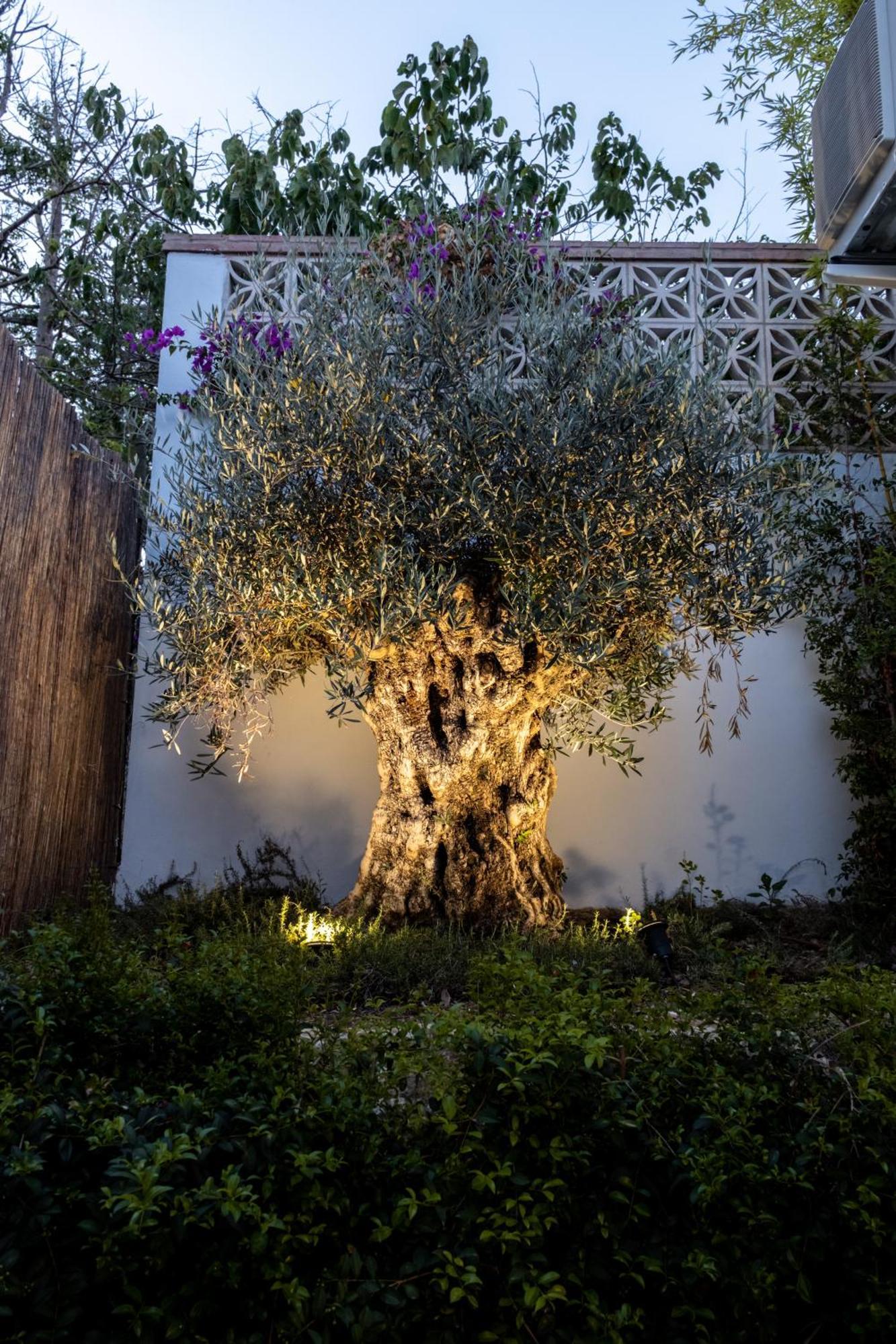 Casa Bodhi Boutique Hotel & Spa Marbella Luaran gambar